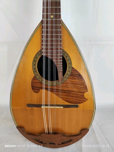Mandolino suzuki 1969 - mandolino, 4/4