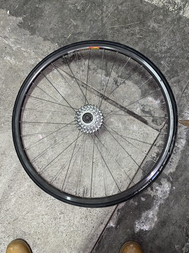 Set ruote per bici da - di, 5