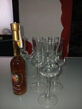 Set 6 bicchieri da grappa o Liquori  + Liquore 