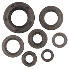 Set paraolio motore per Honda