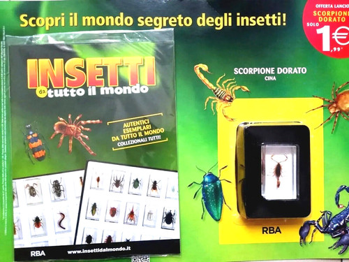 Insetti tutto mondo - da,