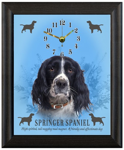 Springer spaniel gift - springer, present