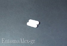 ancoretta magnetica PTFE