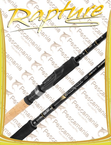 Canna spinning rapture - canna,