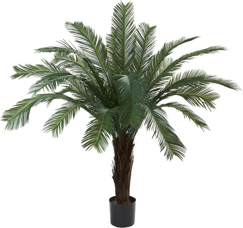 5ft resistant cycas - uv,