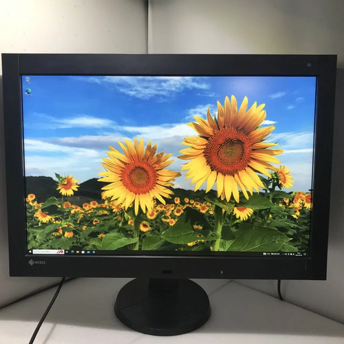 Eizo radiforce rx440 monitor - eizo,