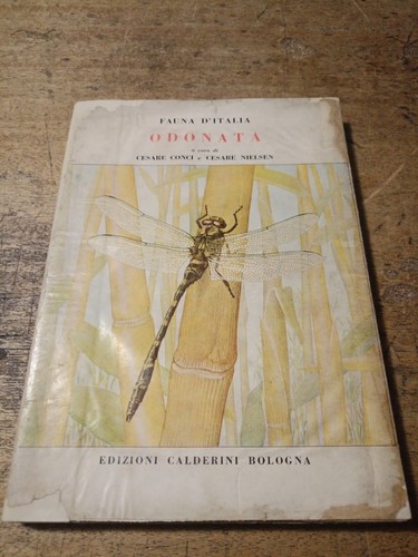 Odonata cesare conci - odonata,