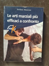 Stefano Maurone, Le arti