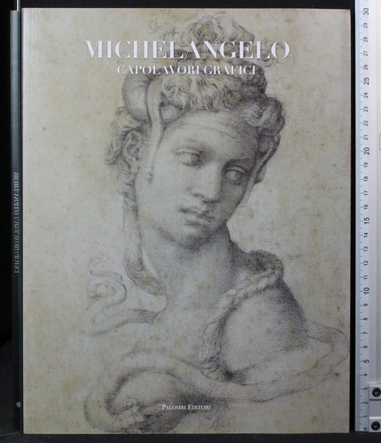 Michelangelo capolavori - michelangelo.,