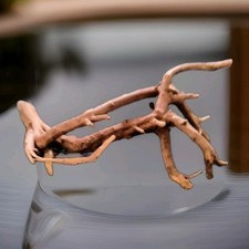 Legno per acquario cm - per,