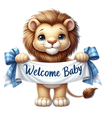 Adesivi auto welcome baby - 8,