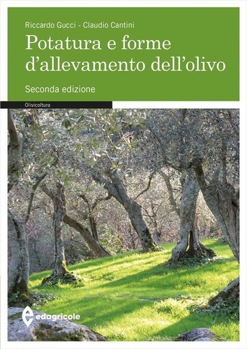Libro riccardo gucci - libro,
