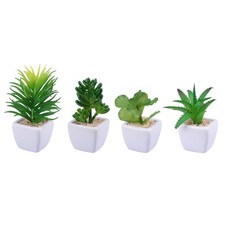 Pezzi piante decorative - 4,