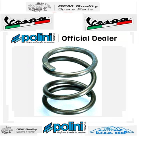 Molla frizione polini - molla,