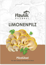 - L'Originale - Pleuroto