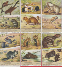 FIGURINE LIEBIG SERIE COMPLETA