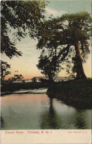 Trinidad fiume caroni - trinidad,,