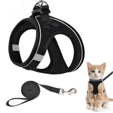 Pettorina e Guinzaglio per Gatti -Regolabile -Antifuga -Imbracatura da Passeggio