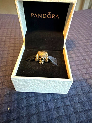 Charm pandora disney lady - pandora,