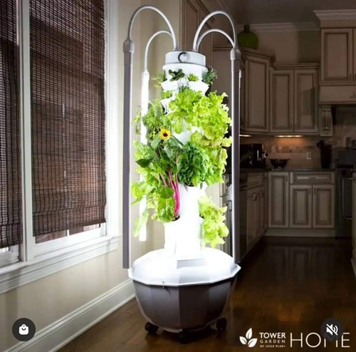 Tower garden aeroponica - tower,