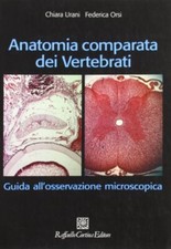 anatomia comparata dei vertebrati urani chiara/orsi federica 9788860301215