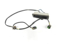 LR079909 maniglia esterna