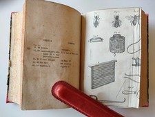 CONTADINO ISTRUITO,  APICOLTURA RAZIONALE (2) , GEOGRAFIA, 4 LIBRI IN UNICO TOMO