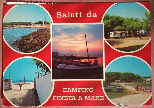 Saluti camping pineta - pineta, a