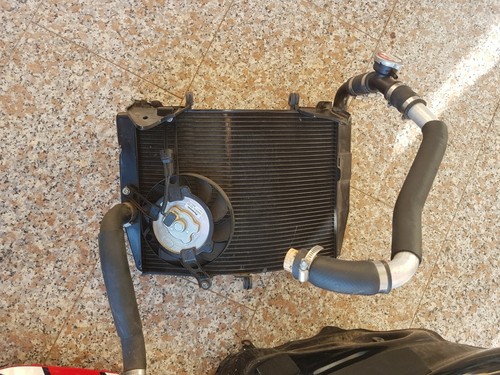 Radiatore honda cbr - 600, rr 