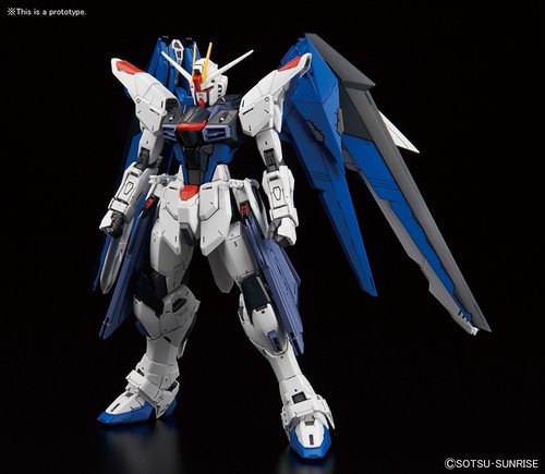 Bandai master grade 100 - master, mg