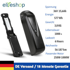 Batteria Li-ion E-bike