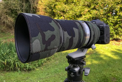 Canon 100 500 - f4.5, 7,1