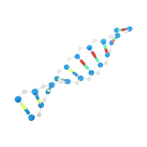 Modello molecolare dna a - dna,