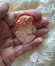 Conchiglia cammeo Gesù