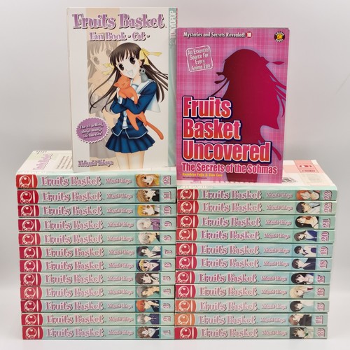 Fruits basket manga bundle - basket,