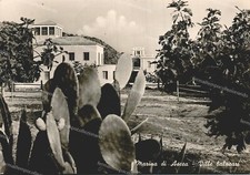 de231 cartolina marina di