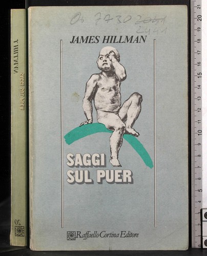 Saggi sul puer - james, hillman
