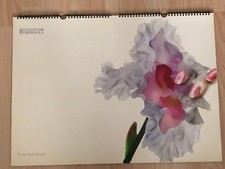 CALENDARIO PIRELLI 2004