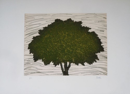 Rossello mario albero - mario, "albero"