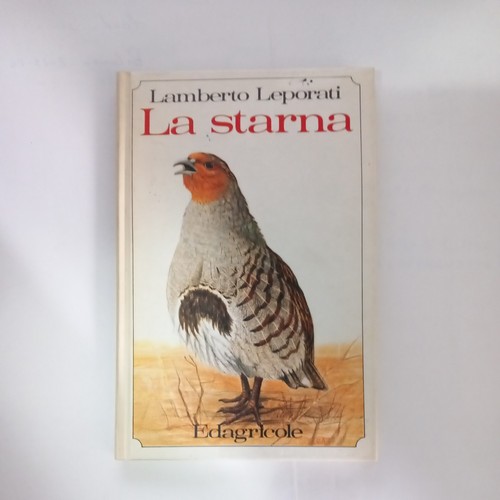 Starna leporati lamberto - leporati,