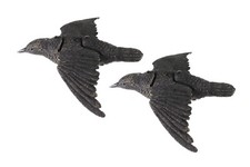 Coppia di Stampi - STORNO IN VOLO - in plastica - FR741