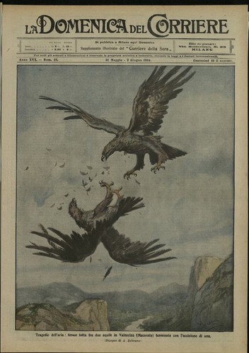 Rivista domenica del - rivista,