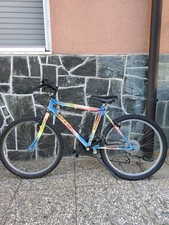 bicicletta usata
