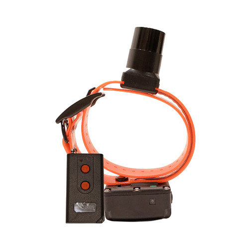 Systems btb 809 collare bip - btb-809,