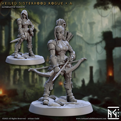 Sisterhood rogue arciere - rogue,