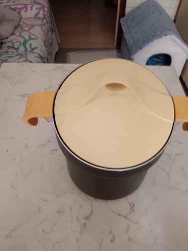 Pentola pastaiola guzzini - pentola,