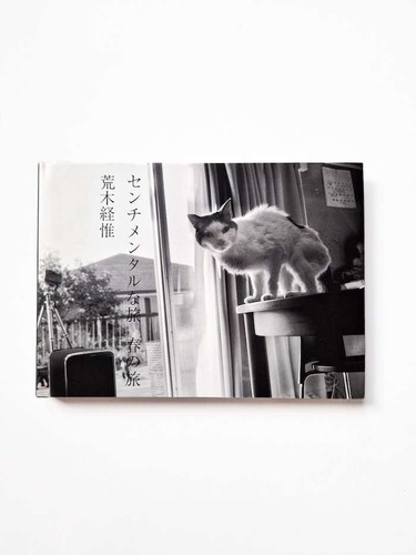Sentimental journey spring - sentimental, journey: