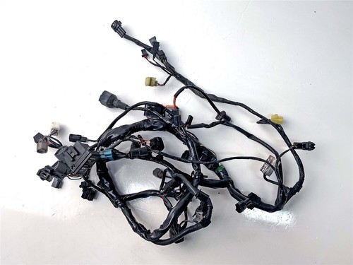 Telaio cablaggio principale