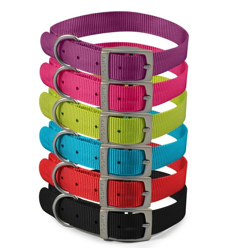 Ancol viva collari forti nylon - ancol,