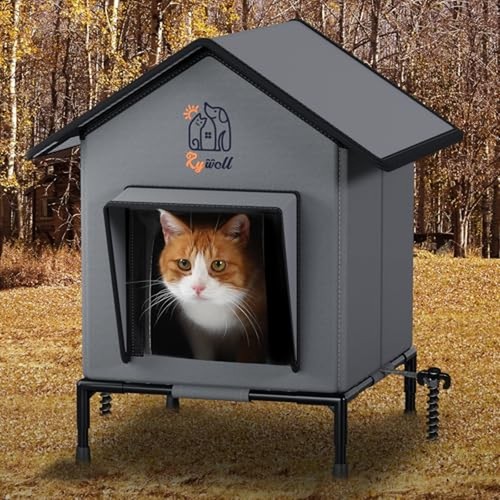 Casetta per gatti - da, esterno